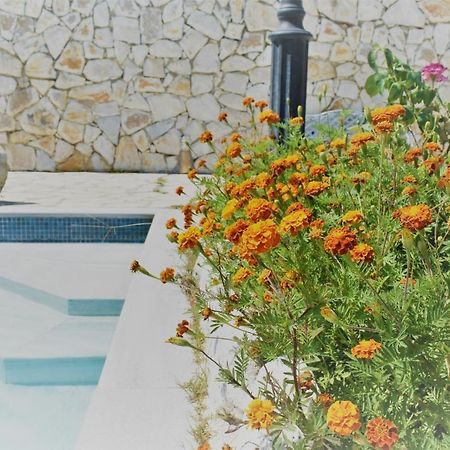 Estate Dafnopanagia Villa Magda Asprogerakata Екстериор снимка