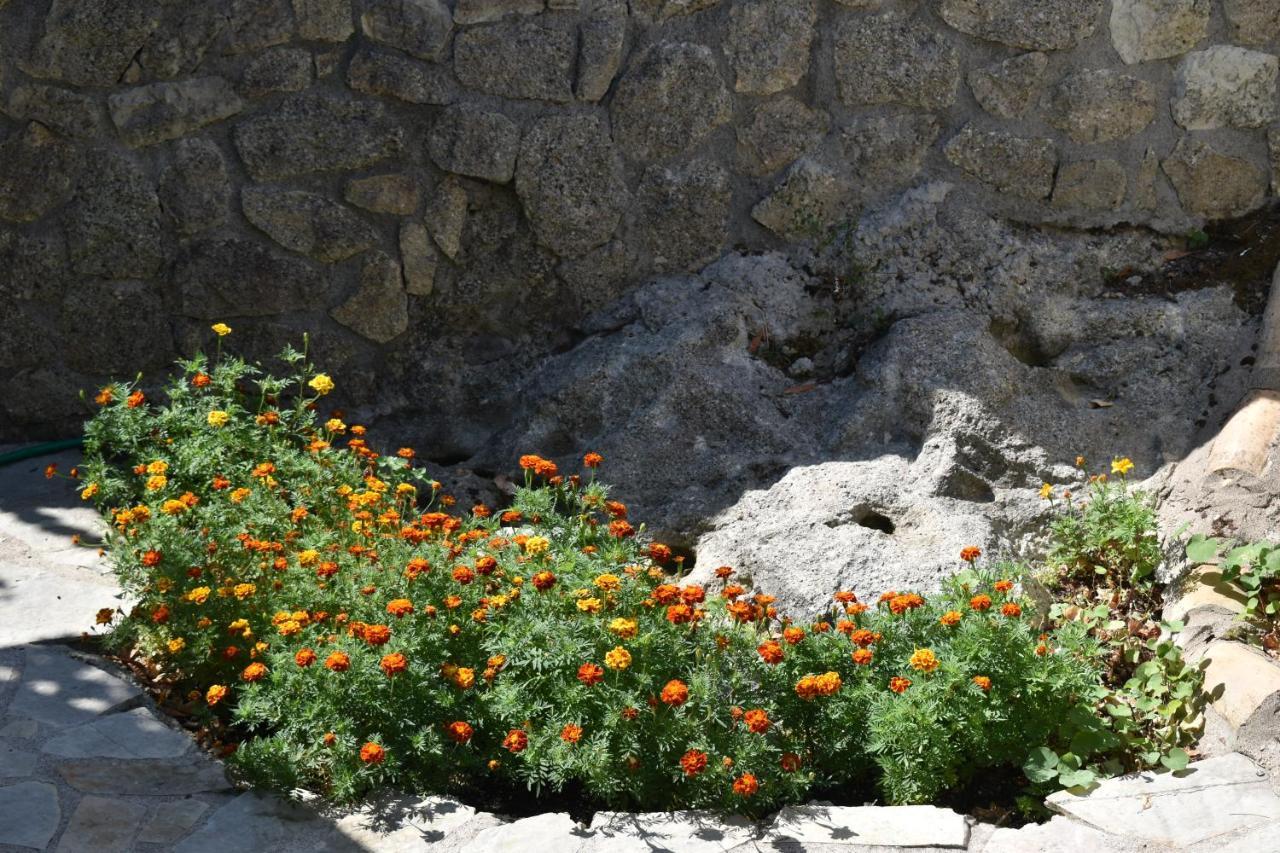 Estate Dafnopanagia Villa Magda Asprogerakata Екстериор снимка